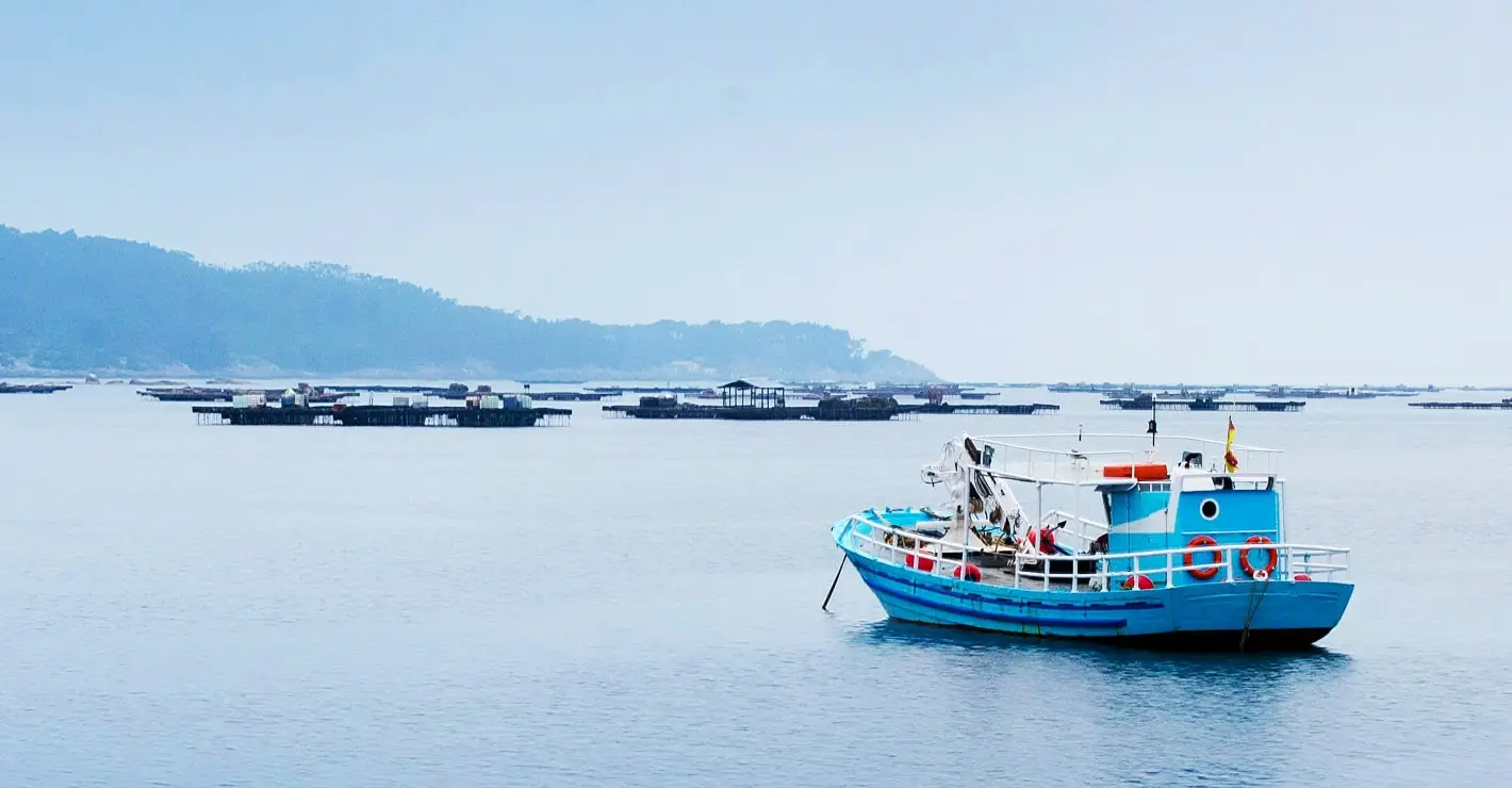 Cold Storage for Fish and Tuna